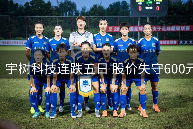 宇树科技连跌五日 股价失守600元关口